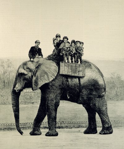 A Farewell Ride on Jumbo, from 
